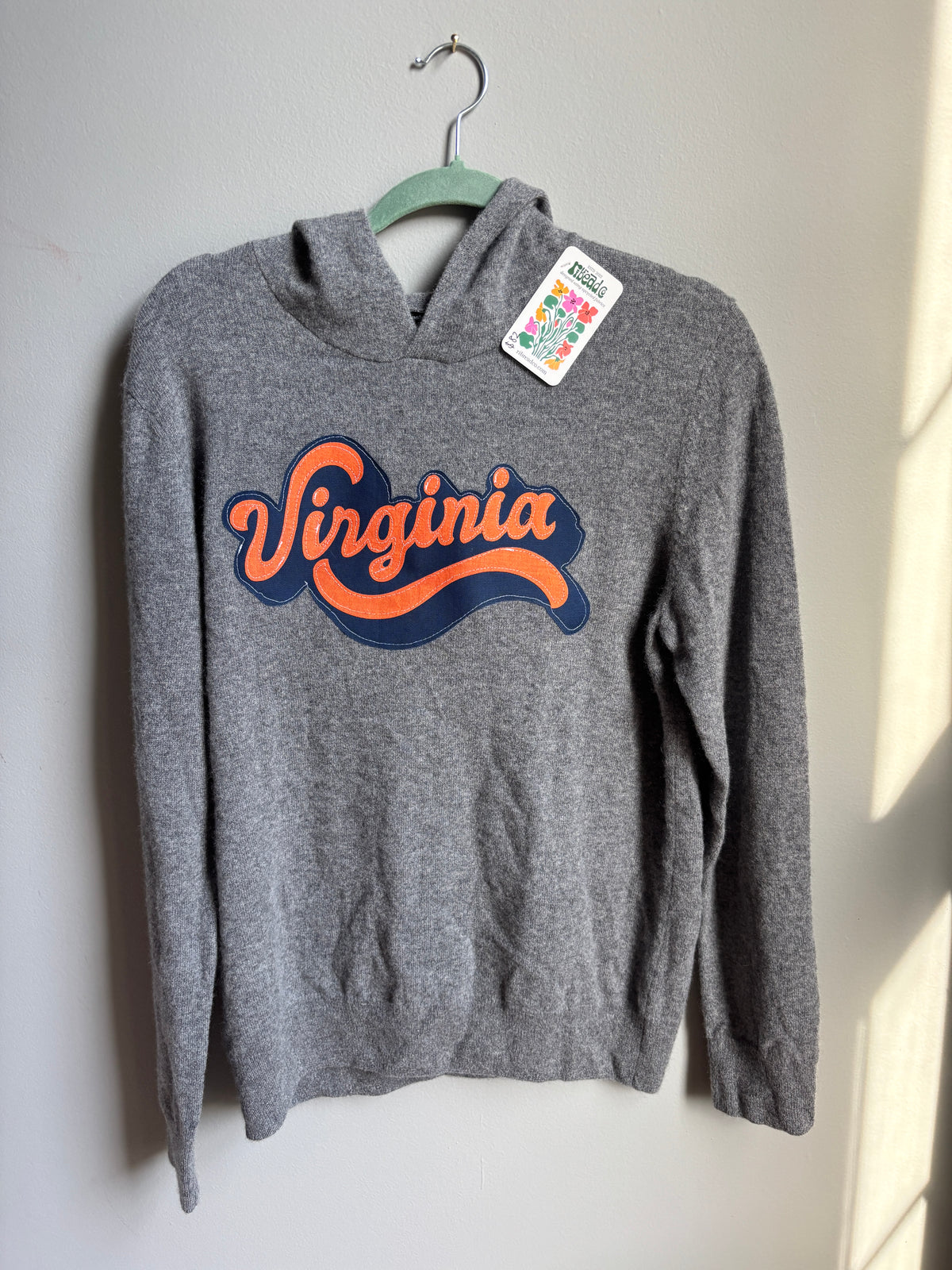 virginia hoodie (mens s)